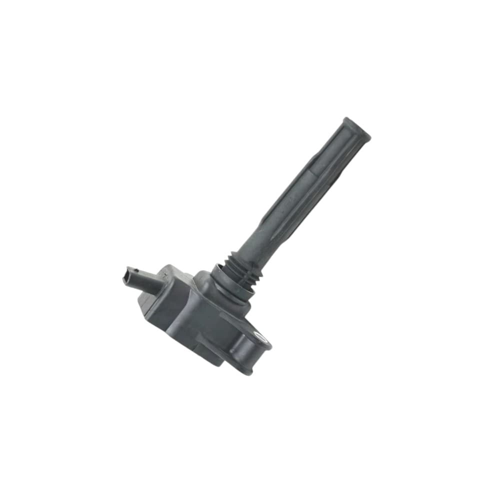 Tabiat gazli ateşleme bobinlari 0281005866 BOSCH