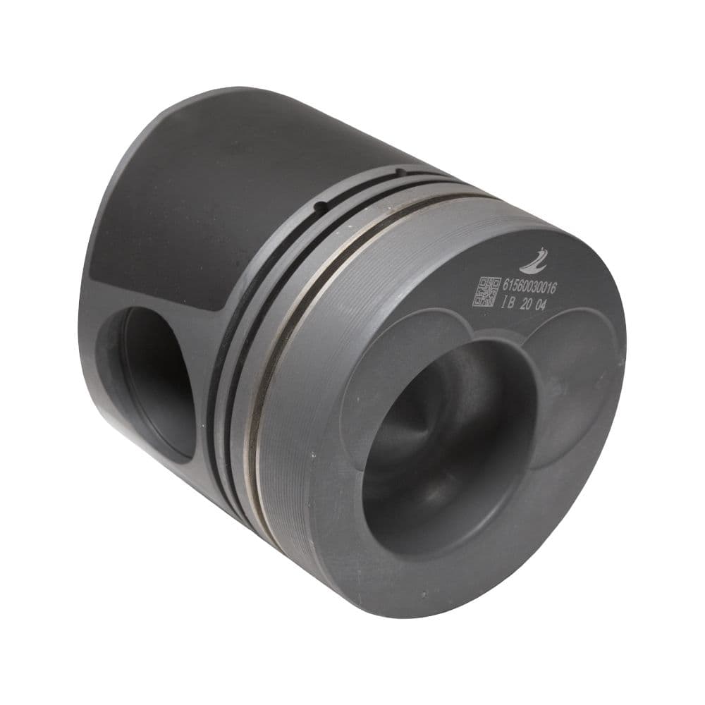 Dvigatel porsheni D=126mm 61560030016 Weichai WD615 - 1